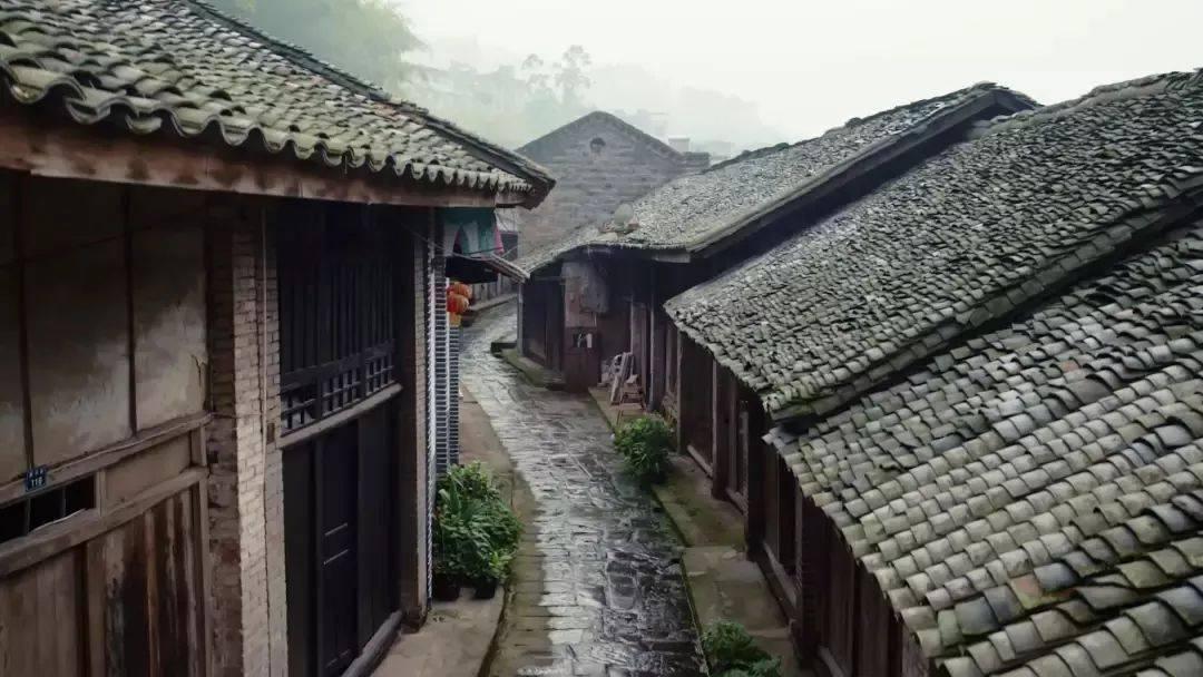 专业